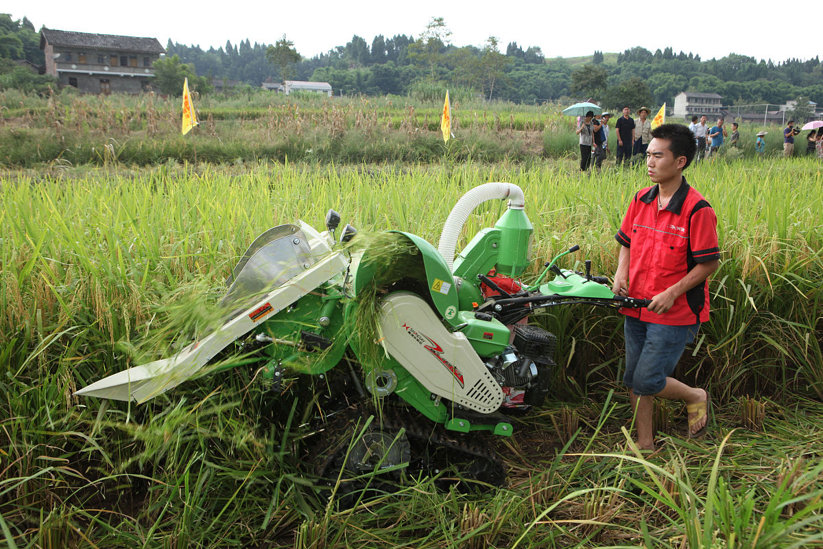 四川计算机应用专业哪个学校好？就业前景分析！