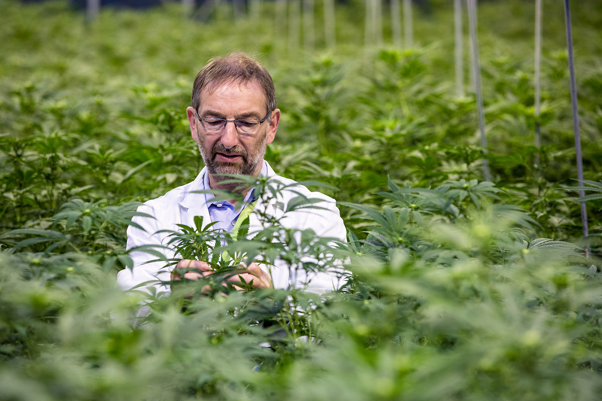 贵阳中医学院中草药栽培与鉴定专业就业前景分析