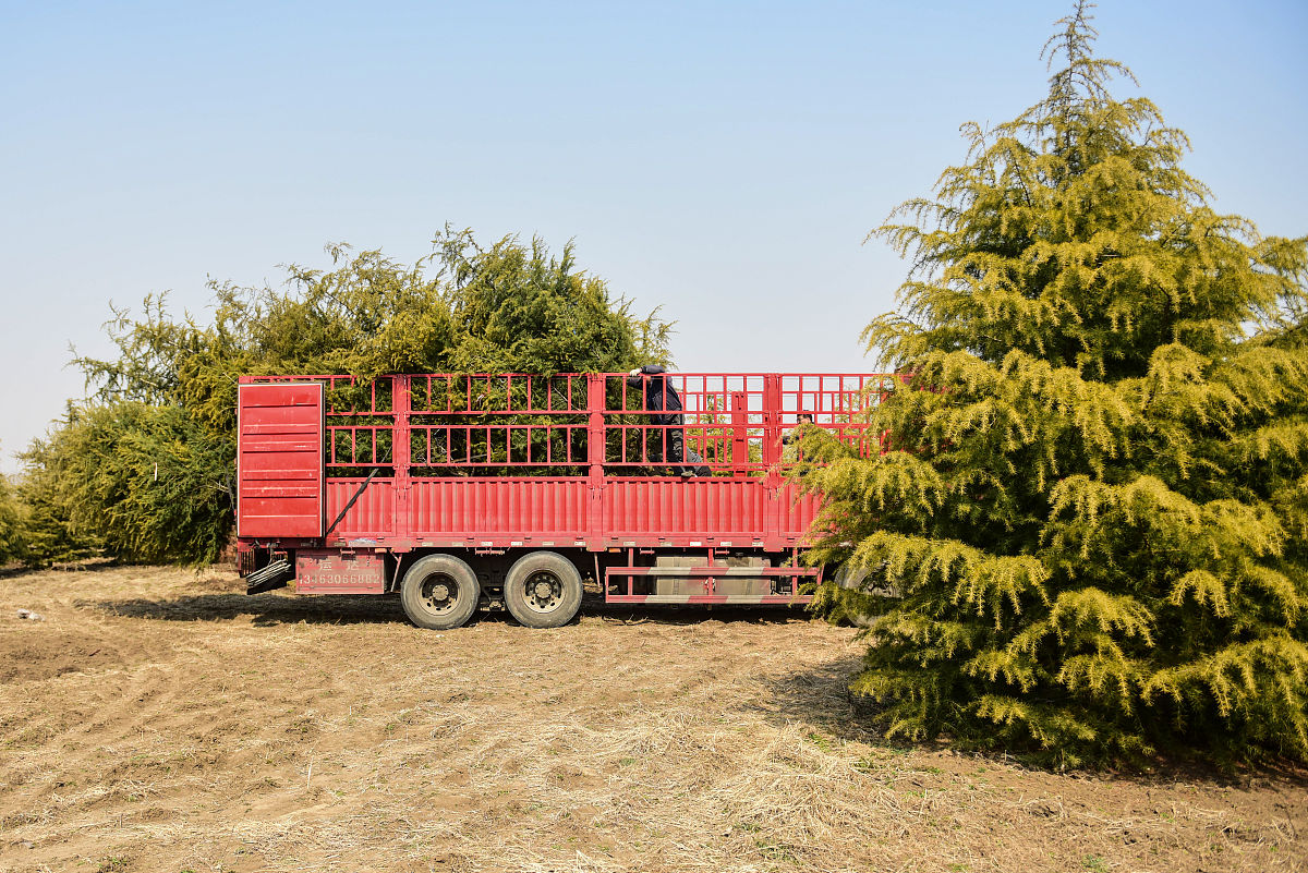 关于如果我是dj你会爱我吗的段子