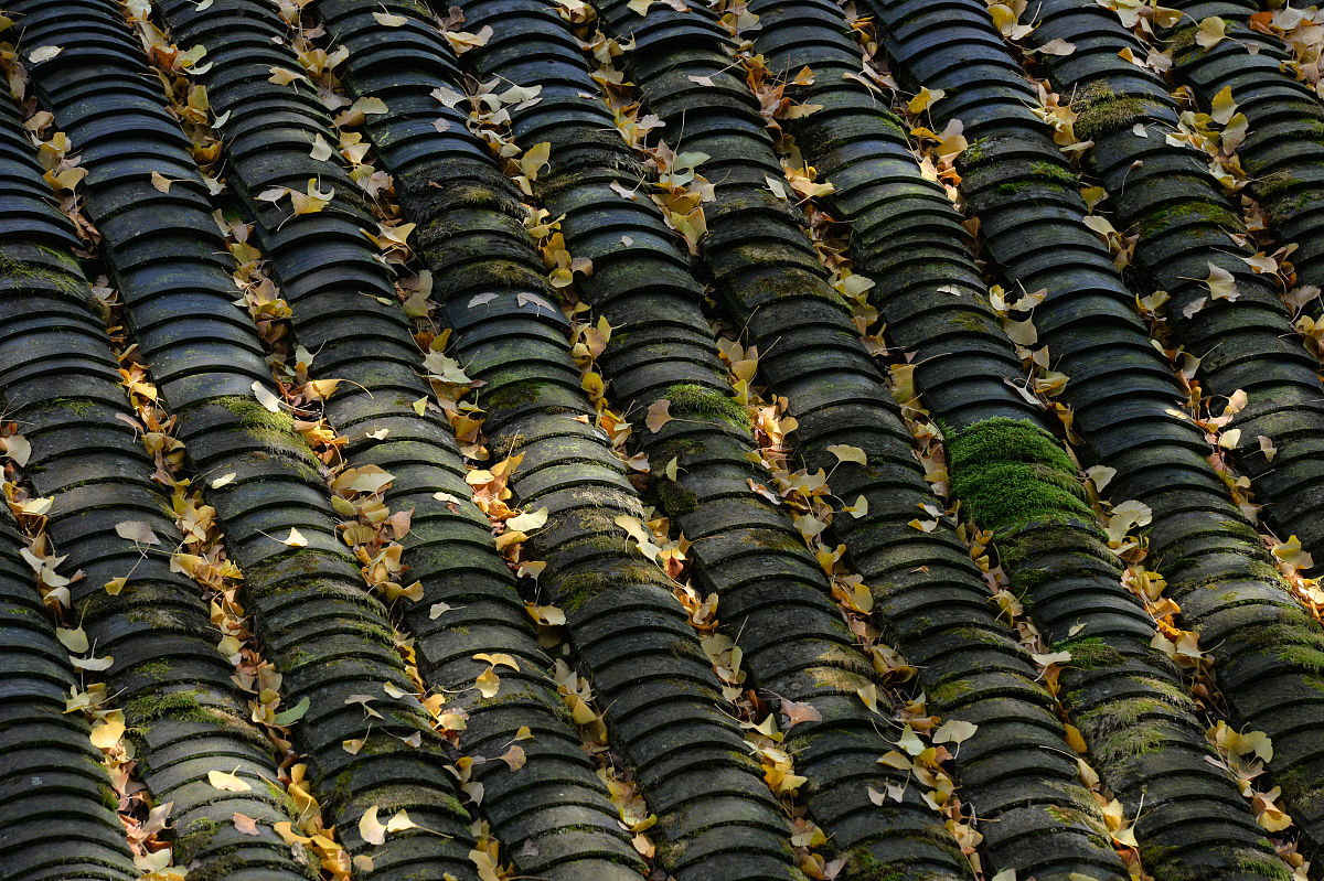 六盘水有铁路学校吗？2020年铁路专业就读指南