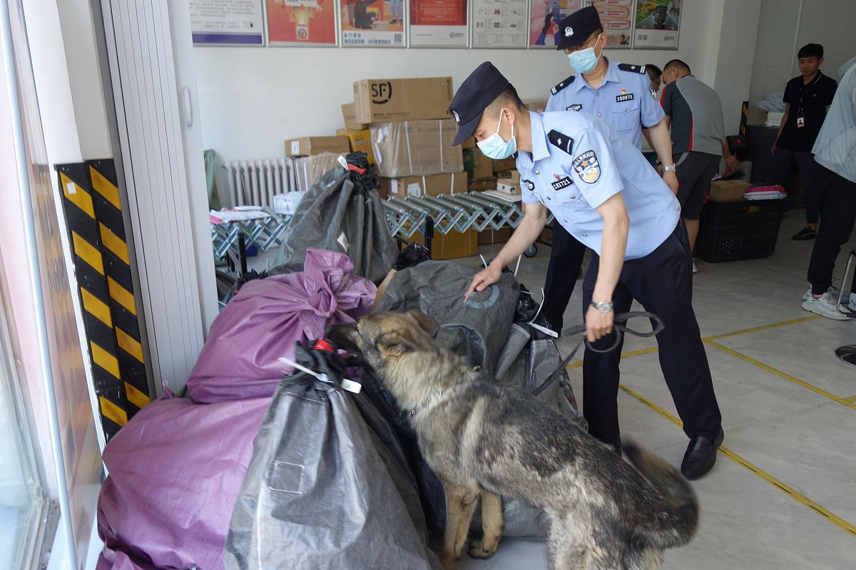 黑龙江2023年地补什么时候发放 6月30日之前帮我用180字详细描述