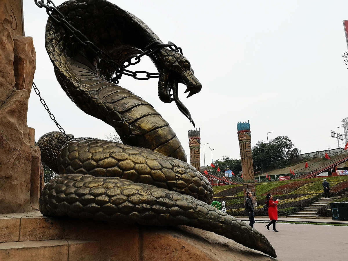 普陀山蛇王修成正果了吗？揭秘蛇王的神秘传说