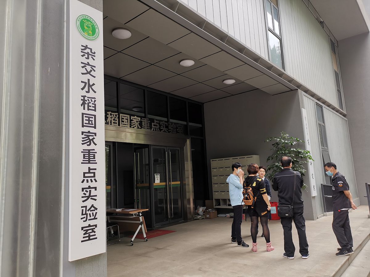 在南宁市那马镇镇政府农业服务中心实习的实习报告内容包括做了什么事单位领导做了什么让人印象深刻做了哪些工作觉得收货很大以后该怎么提升两千字