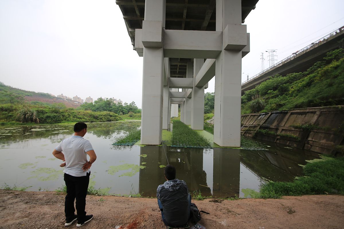 重庆轨道交通专业大专院校推荐及发展建议