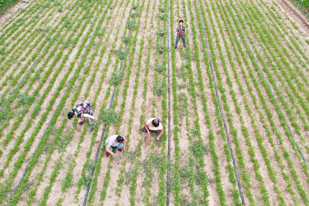 山西药科职业学院食品生物技术专业就业方向有哪些