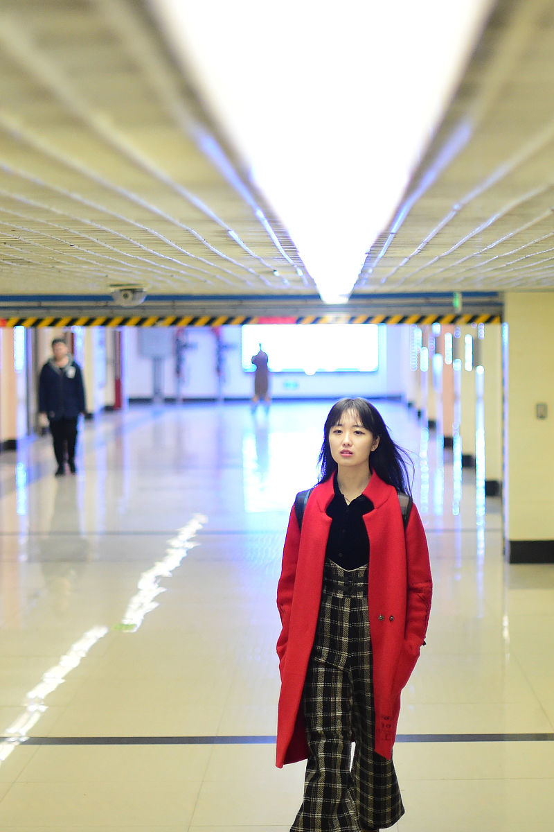 小说下载器 - 免费下载小说到本地