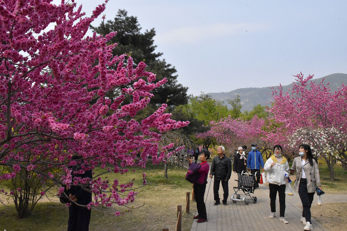 品种试验、登记、审定：植物育种的关键环节