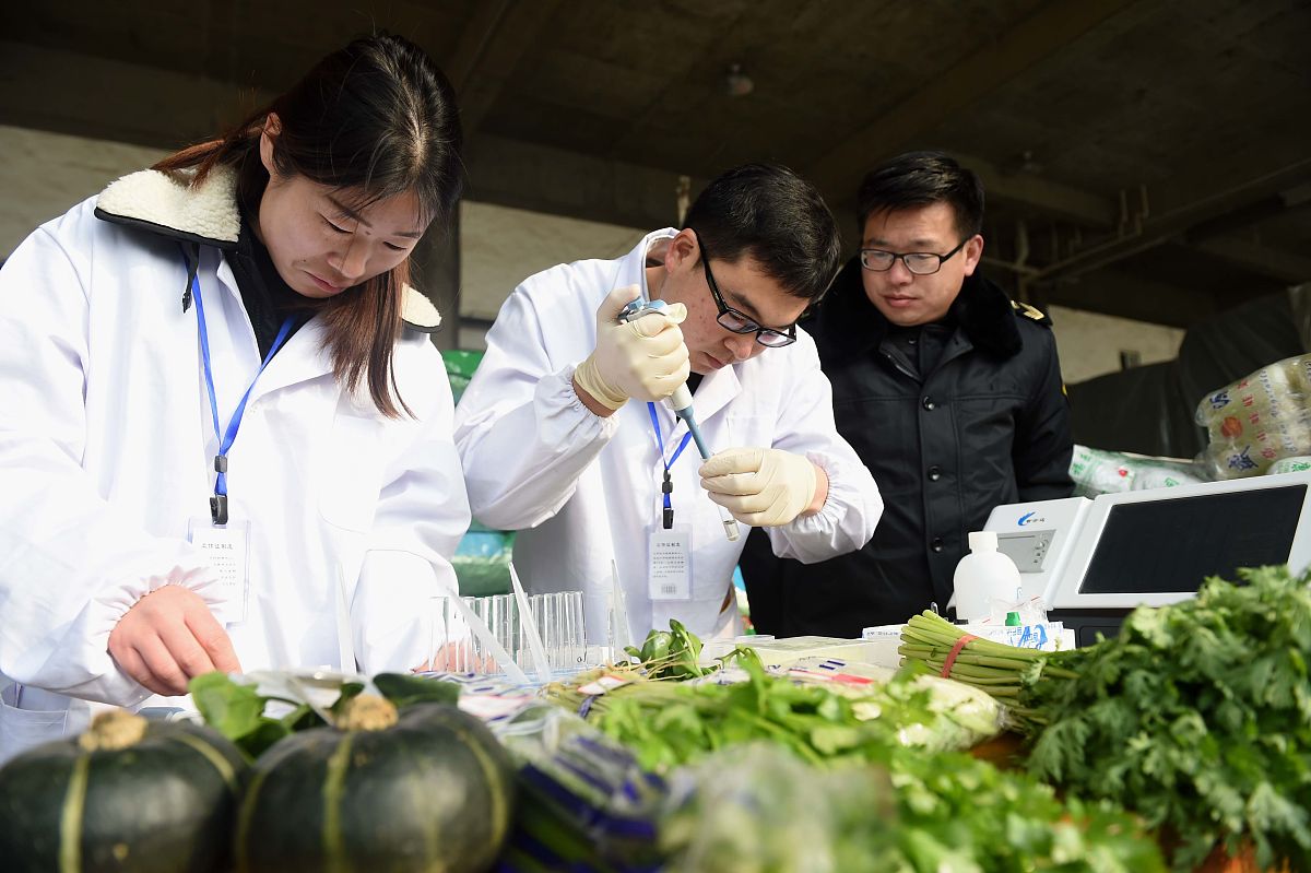 国内市场对虫害检测技术的市场定位分析