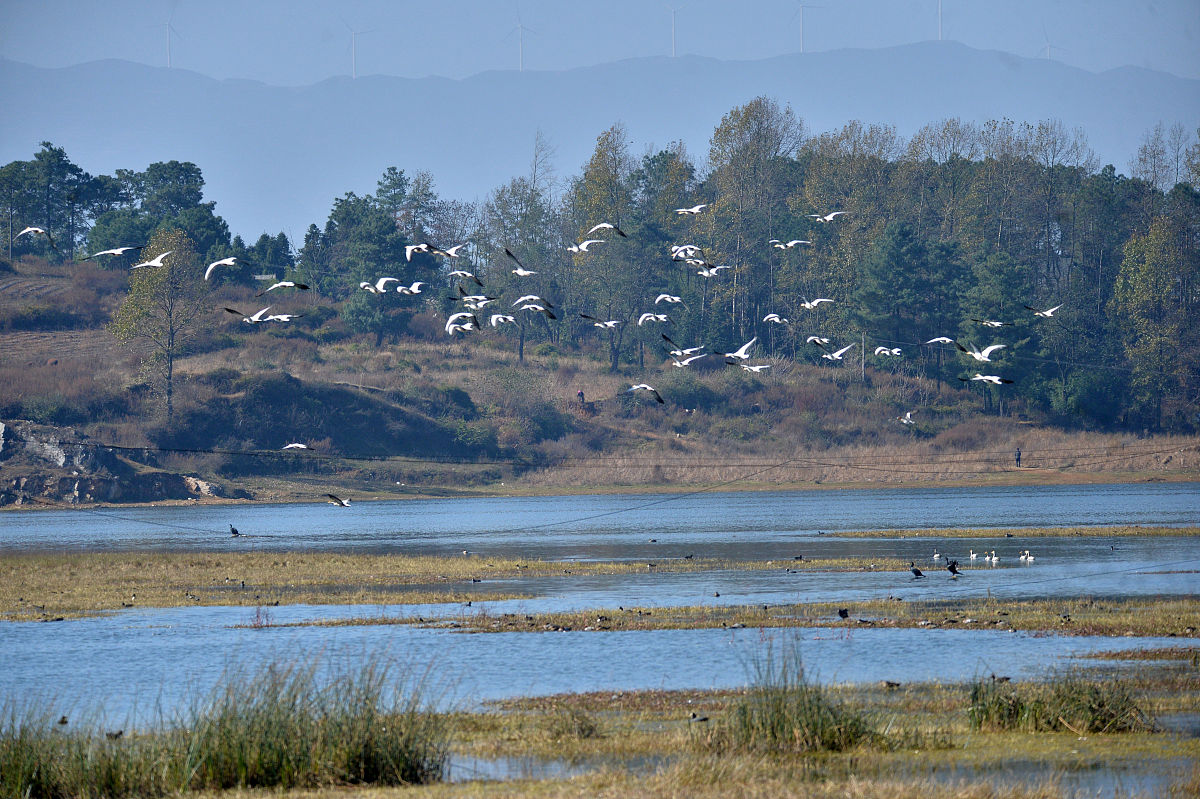威宁县中等职业学校热门专业推荐：现代农艺技术专业值得选择吗？