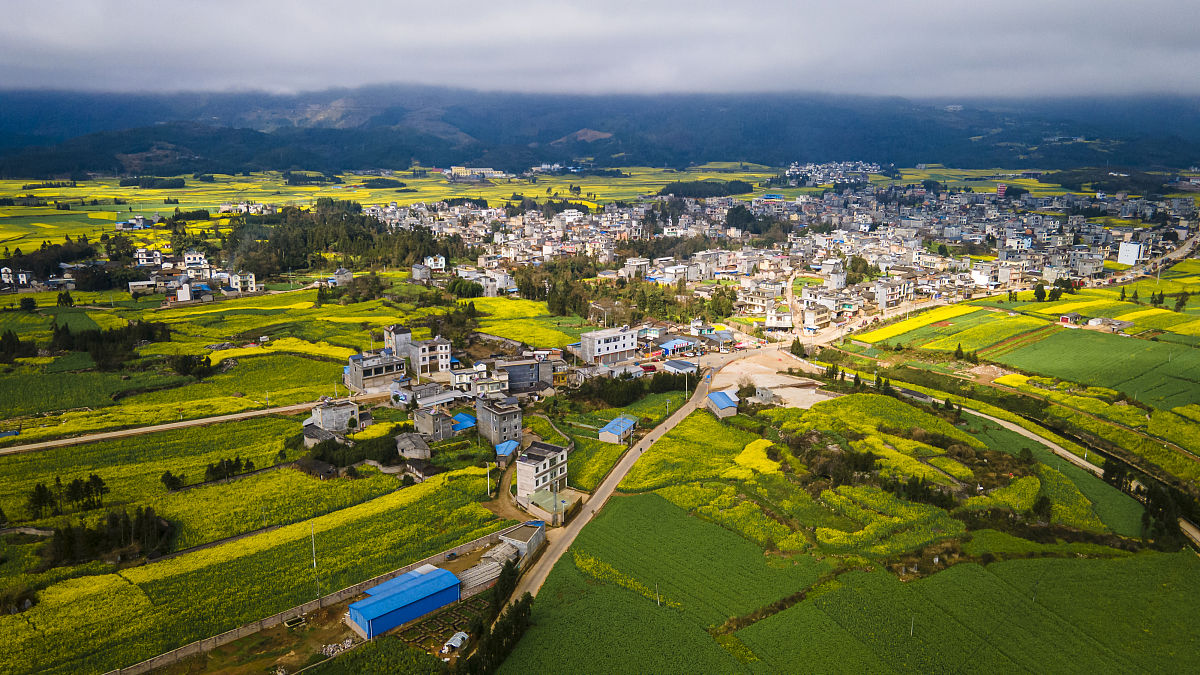 云南经济管理学校物流管理专业2022年招生