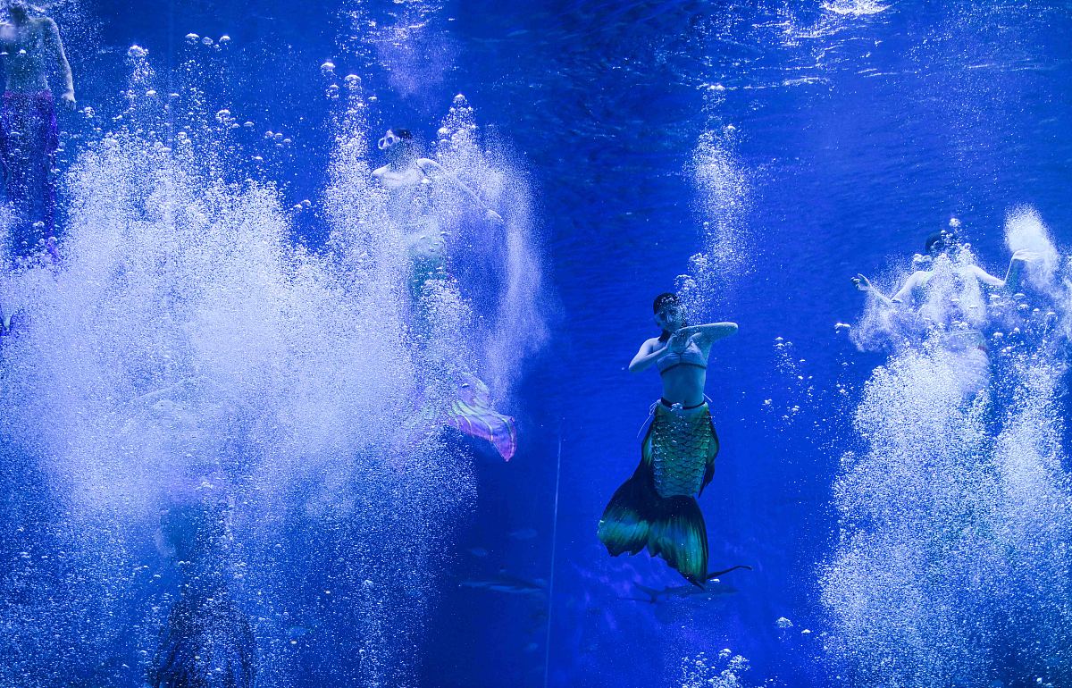 Shenli Linghua's Graceful Dance: A Serene Water Ballet