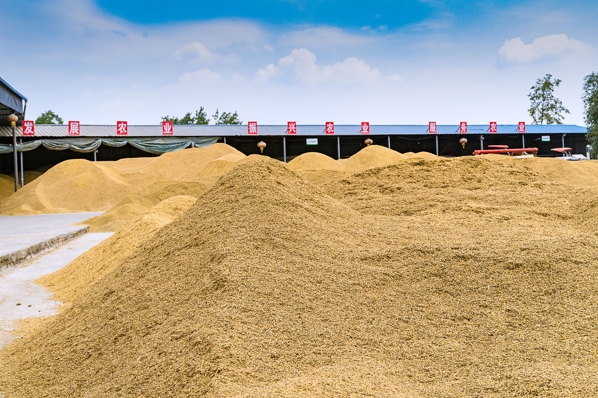 扶沟县牧原麸皮采购项目：保障畜牧业高质量发展