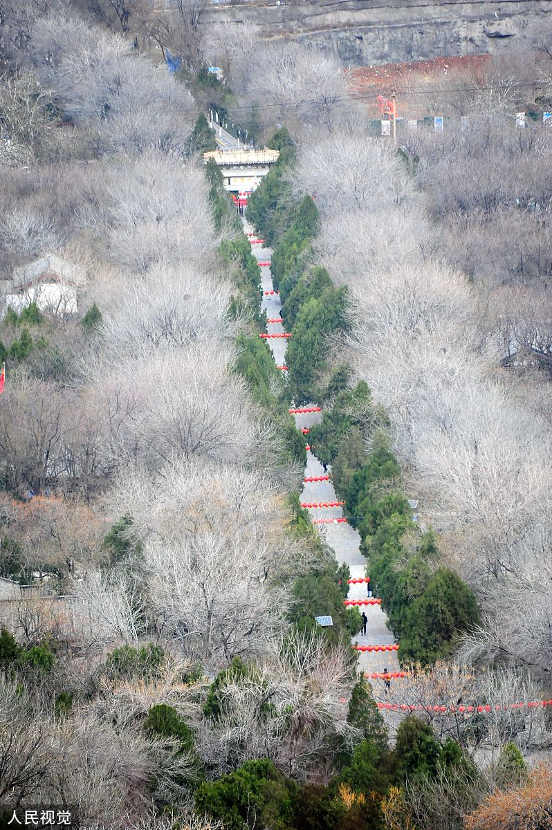 济南百花公园停车场收费标准回答+拓展