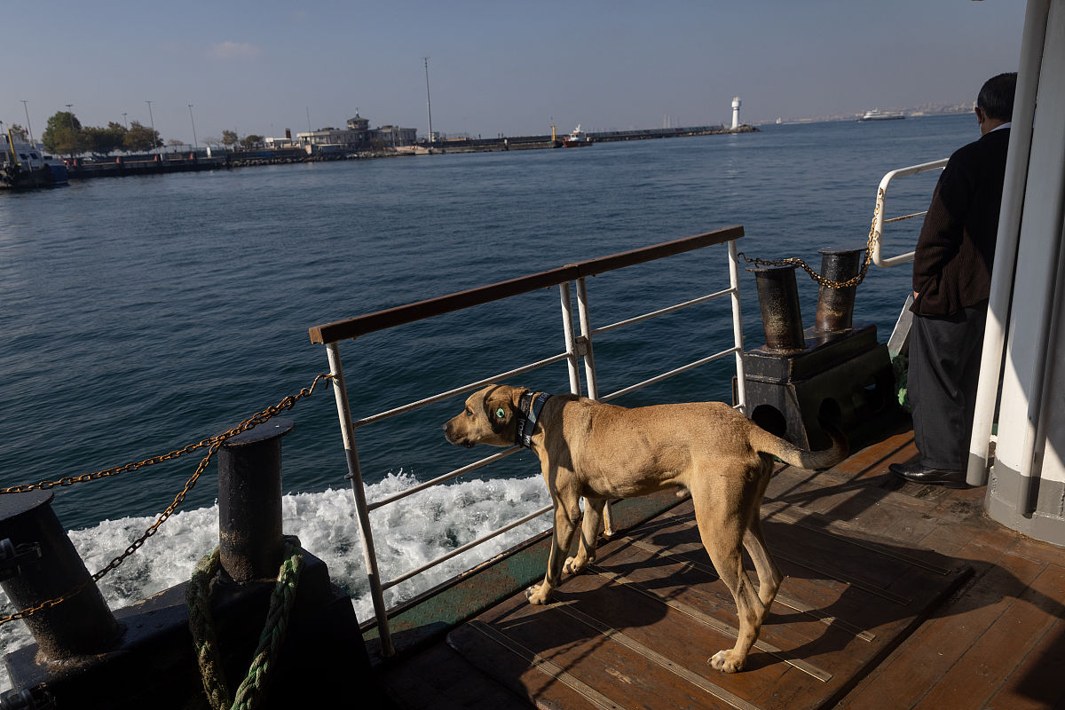 西安交通职业学校地址在哪里乘车路线怎么走好麽