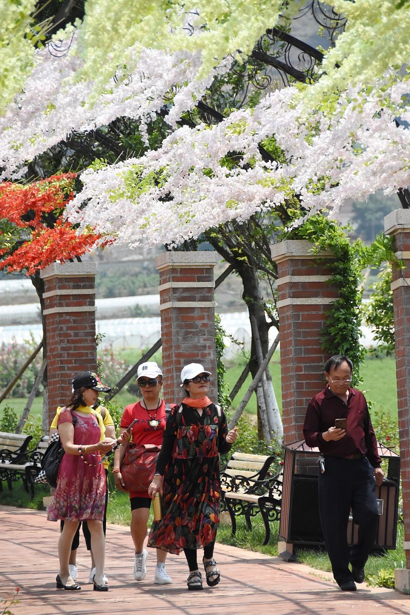 红河中专学校热门专业就业前景分析 - 哪个专业更有发展？