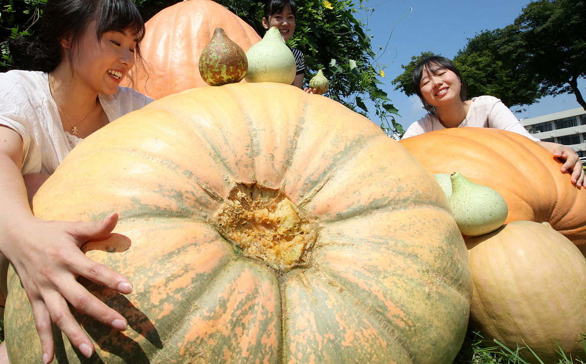 文山农业学校怎么样？特色教育、师资力量及发展方向