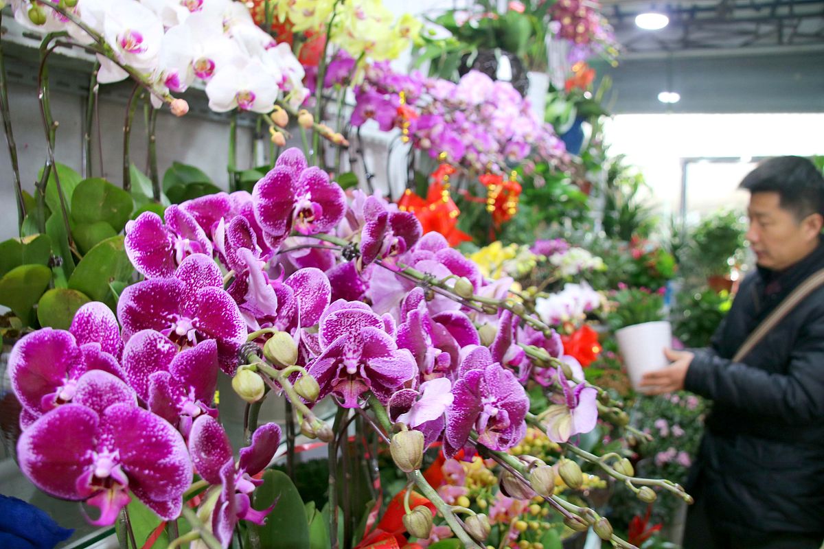 在家卖花卉赚钱吗