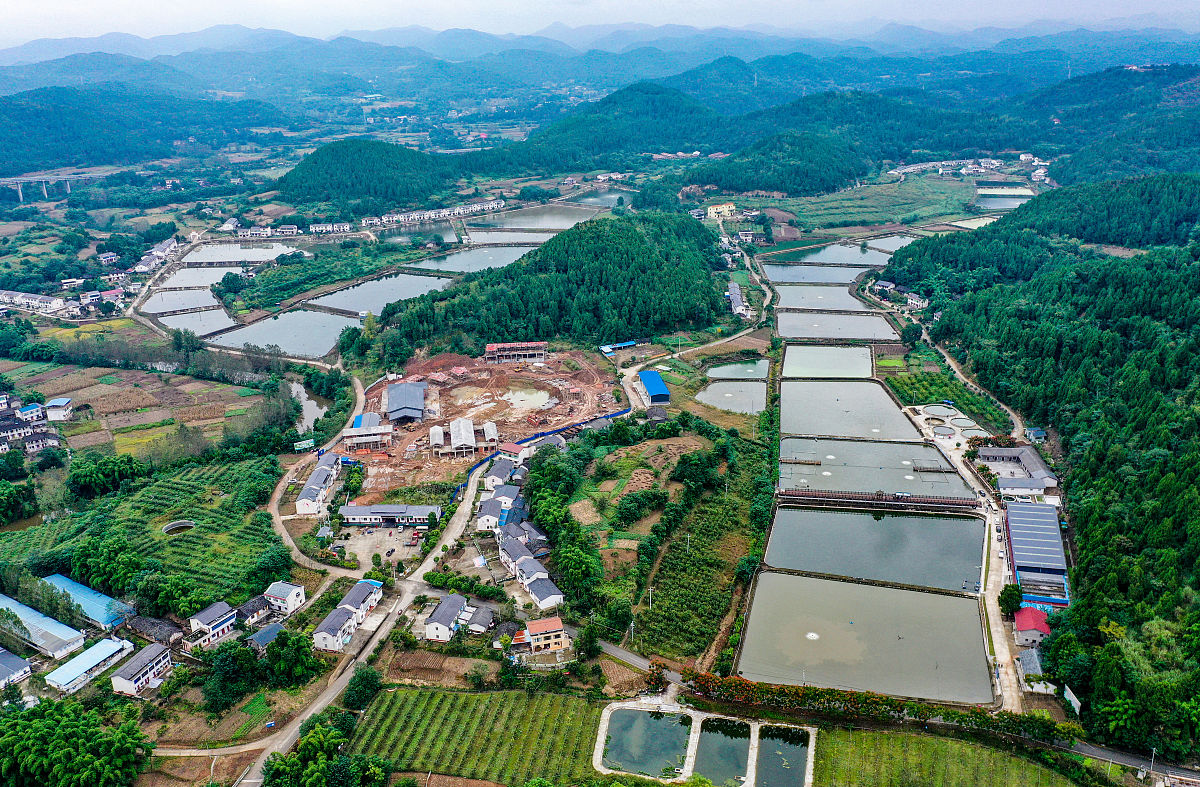 绵阳农业学校机电技术应用专业：未来发展前景分析