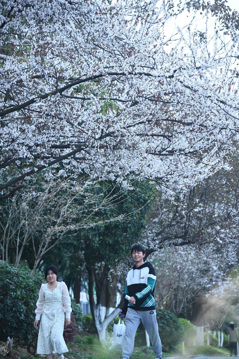 湖北医药学院2022年3+2五年制大专招生简章