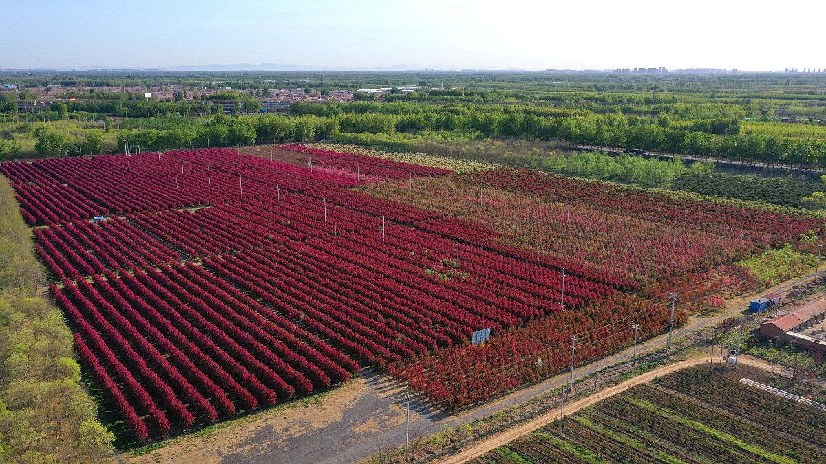 松原职业技术学院农业经济管理专业怎么样？就业前景、发展方向分析