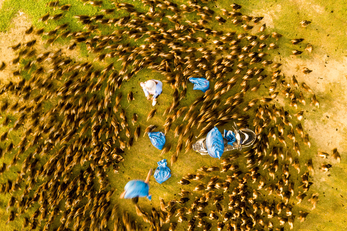 广西2022年中专学校有什么专业最好