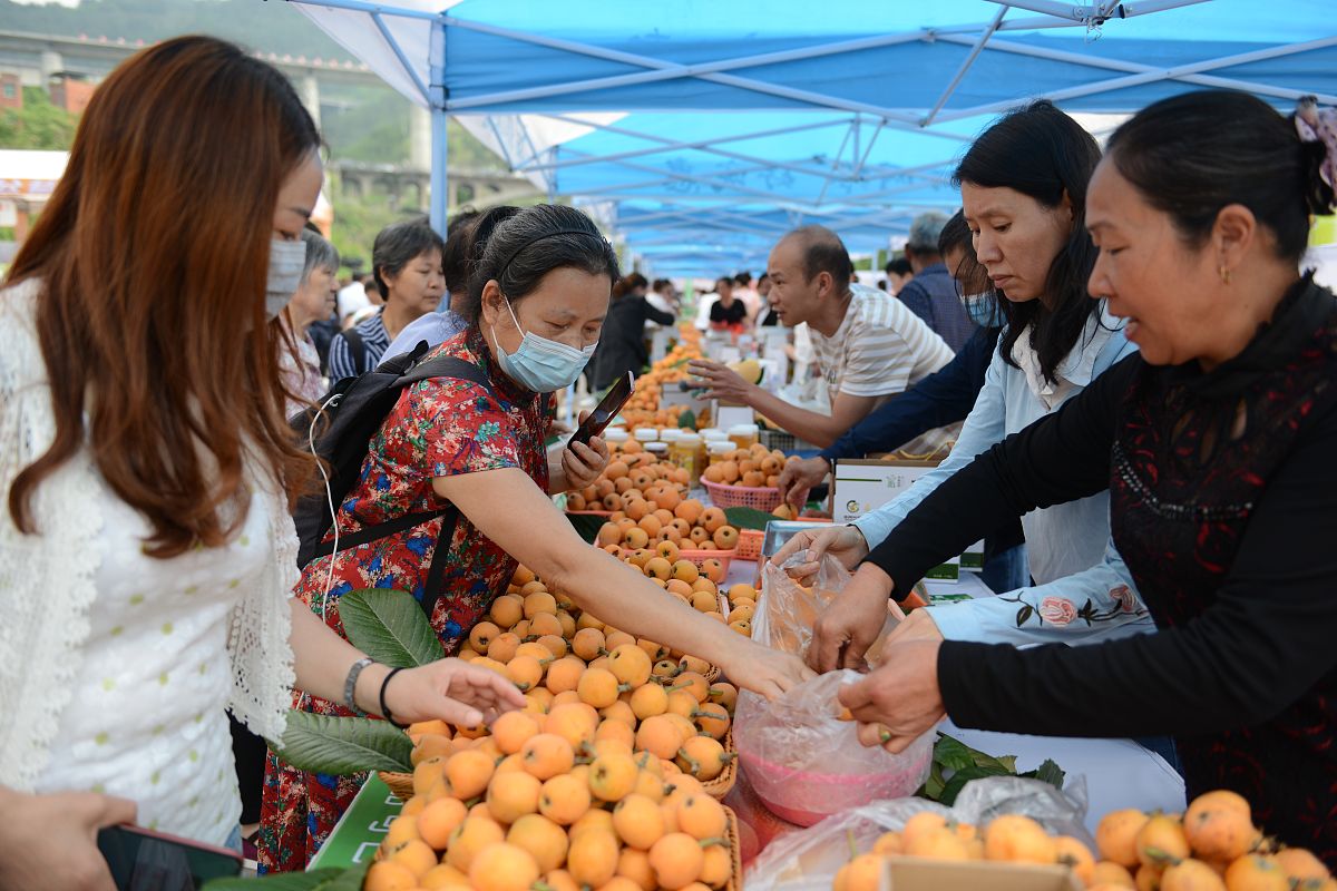 百色芒果田东芒果文化节旅游开发的五大难题