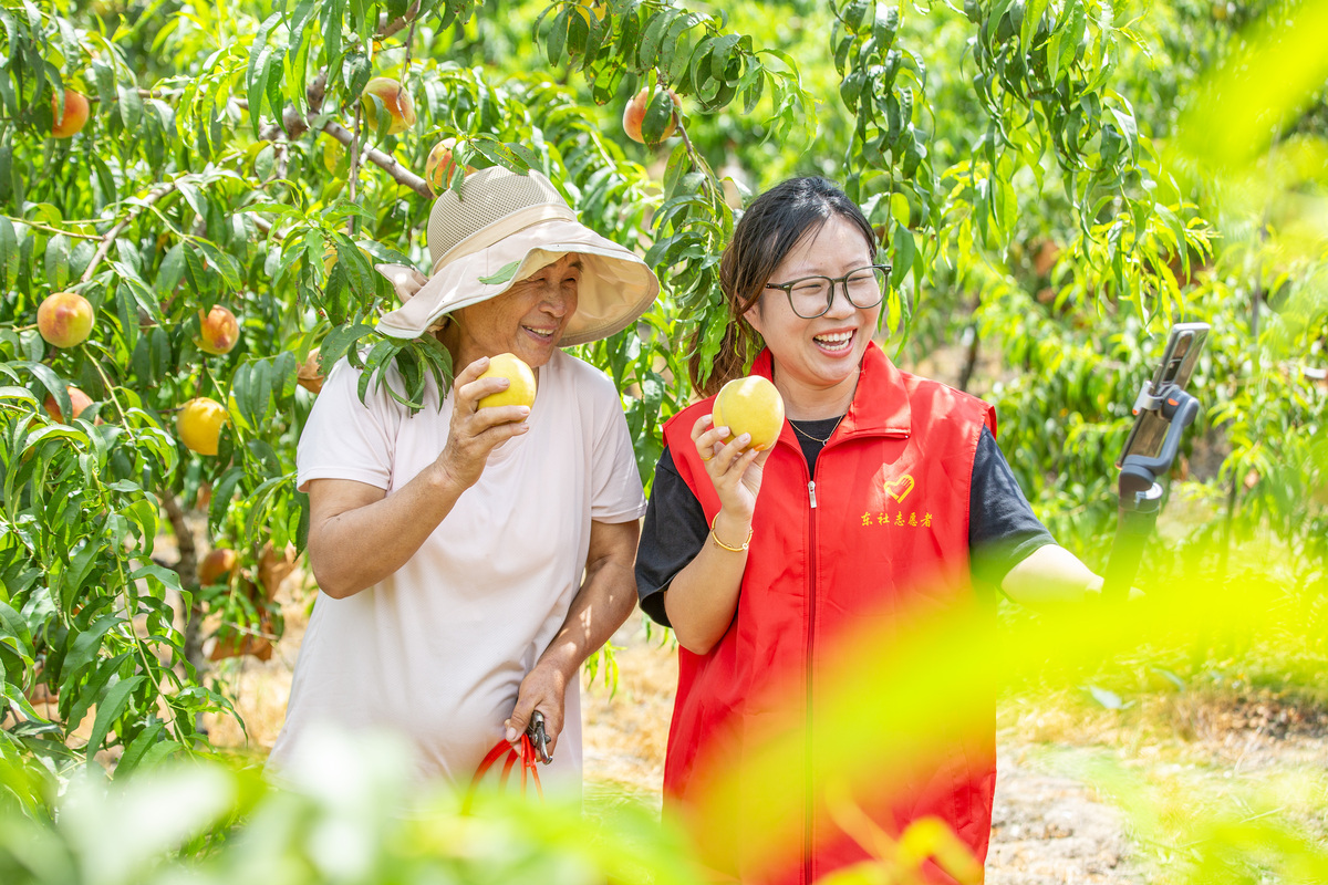 让老师自己来我家摘樱桃怎么给她说