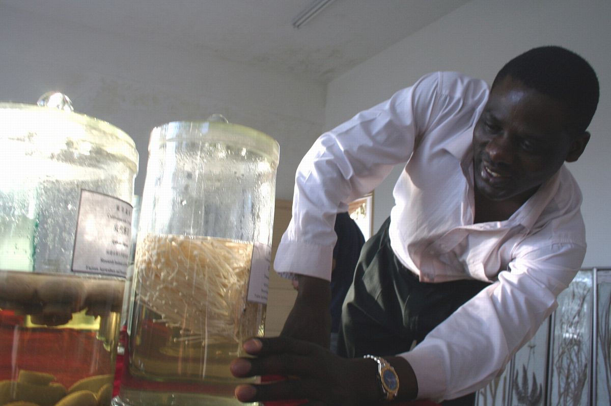 福建农林大学农林经济管理专业怎么样？ - 优势、就业前景解析