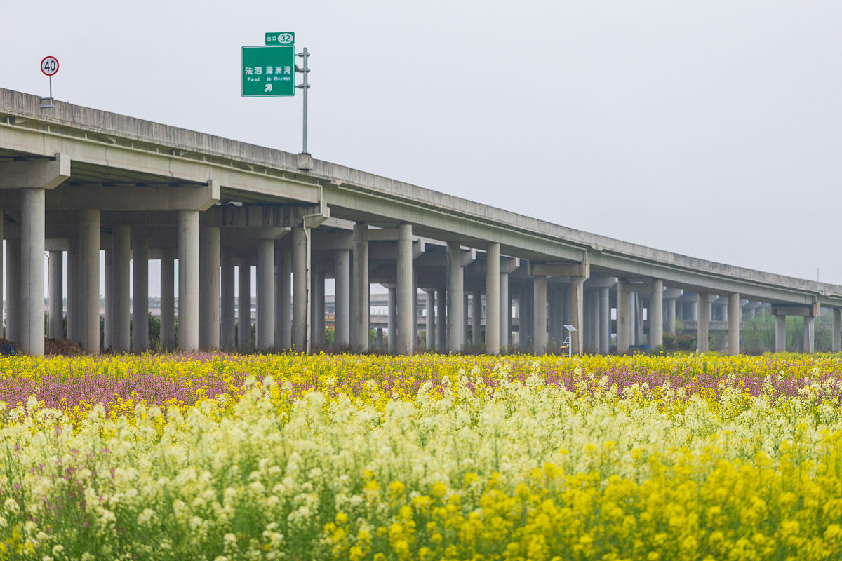 武汉市卫生学校2022年招生简章 - 医学专业，优质教育，未来可期