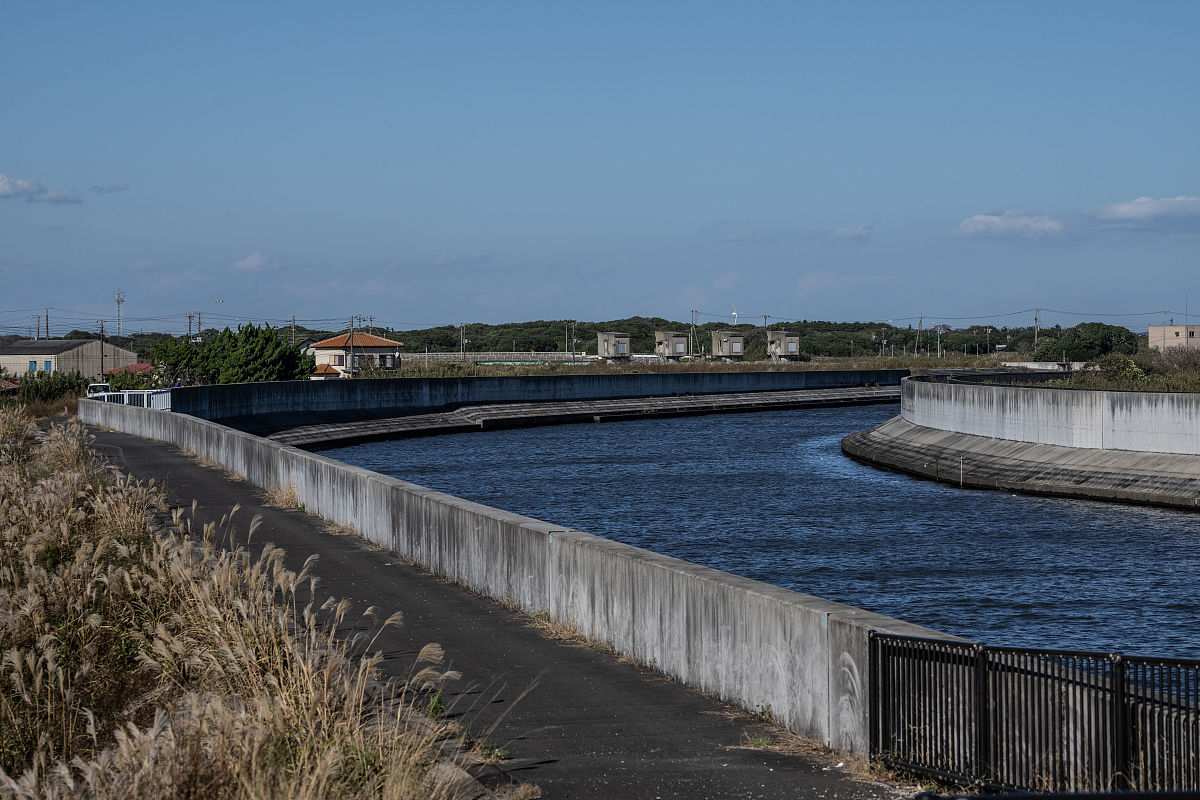 业已形成是什么意思？解析词语“业已形成”的含义与影响