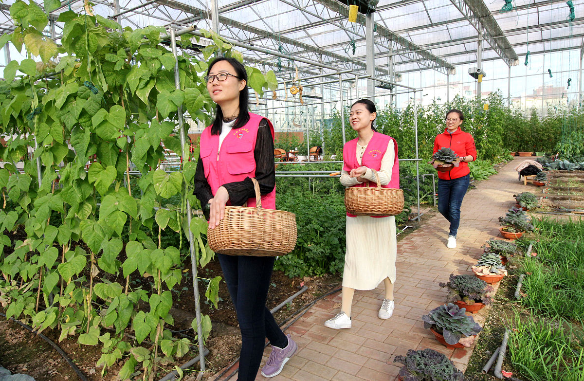 临洮农业学校果蔬花卉生产技术专业就业前景分析