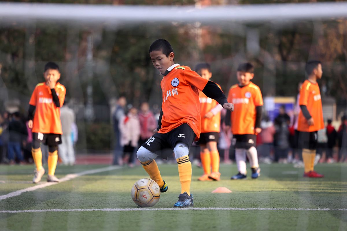 合肥市工程技术学校的商品经营学习哪些课程