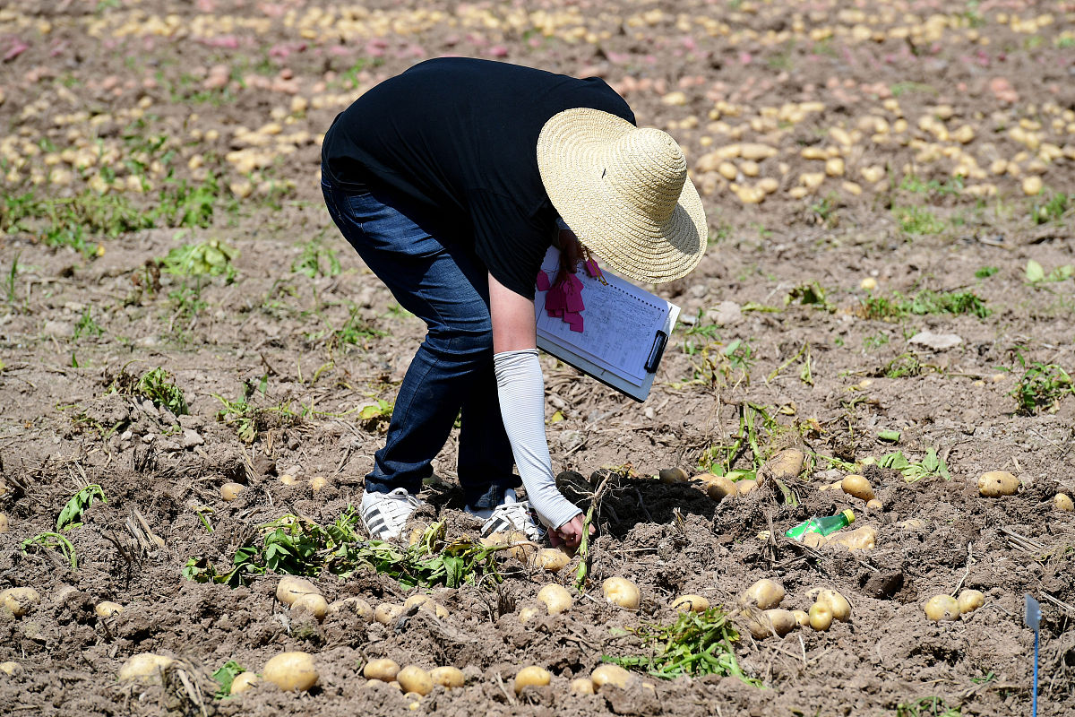成县化垭农职业中学2021年招生简章 - 培养农村人才，开启未来之路