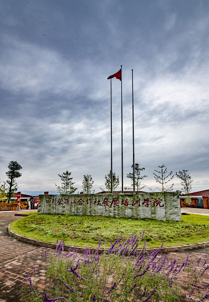 安徽建设学校办学特色现状分析及未来发展趋势