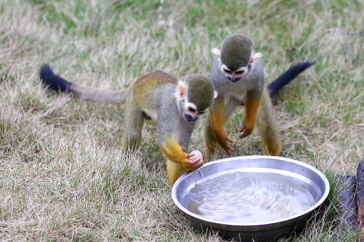 2021年重庆永川工商学校招生简章