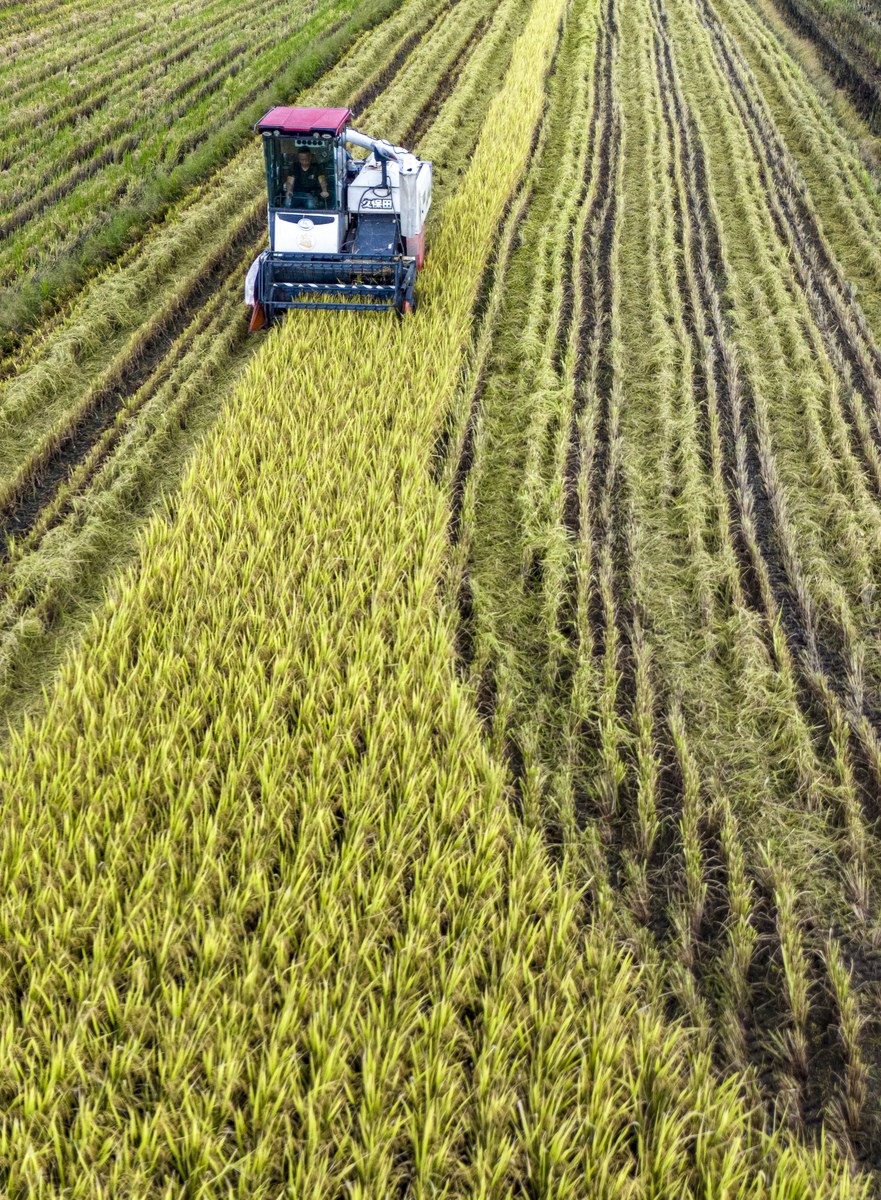 农学类专业就业前景用发散性思 农学类专业就业前景用发散性思