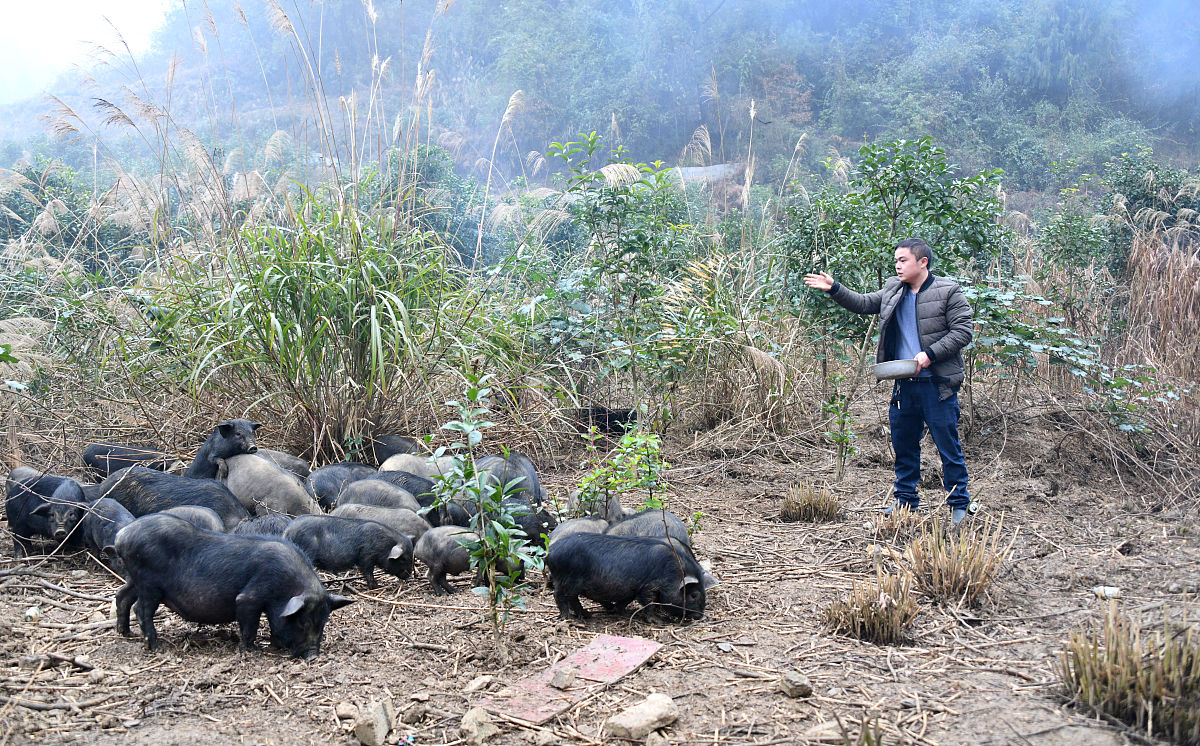 遵义卫校护理专业招生：2019年入学指南