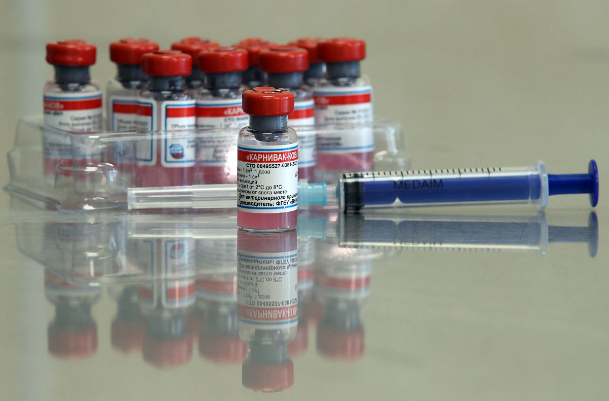 用地道的中文翻译以下文本：Feline panleukopenia virus FPV is an important infectious pathogen of all members of the family Felidae Here we describe construction of a replication-competent recombinant canine adenovi