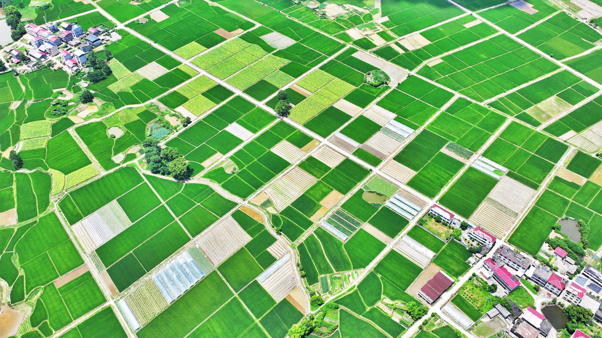 全域土地综合整治业务：定义与意义