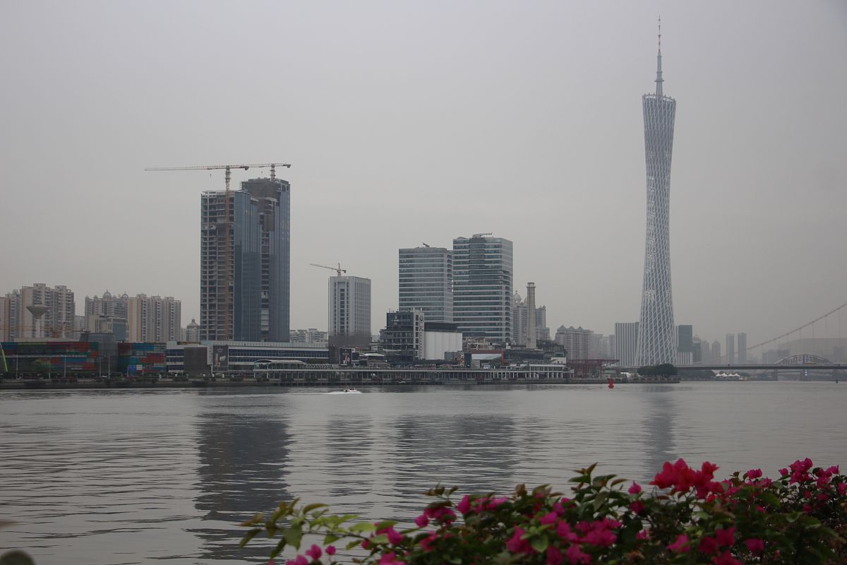 写一个公共管理专业的实习报告具体的内容是关于在河务管理中心的实习需要有具体参加的活动和具体的工作字数不少于1000字