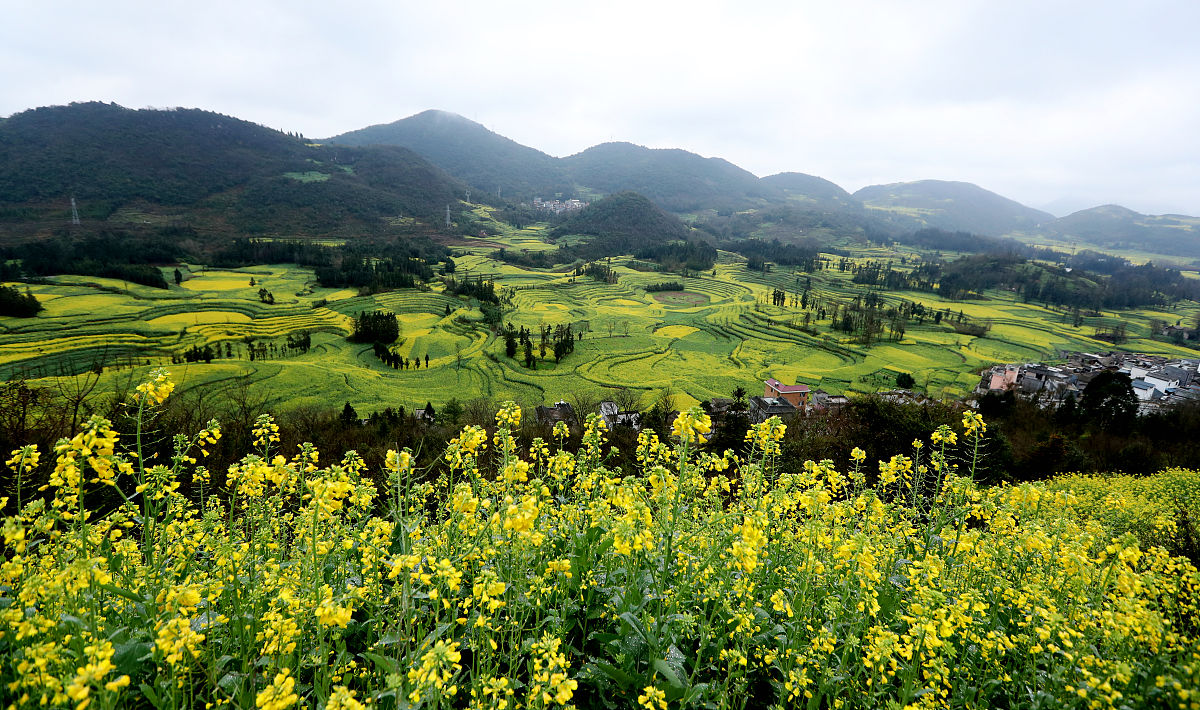 云南外事外语职业学院2022招生简章：值得期待的优质选择