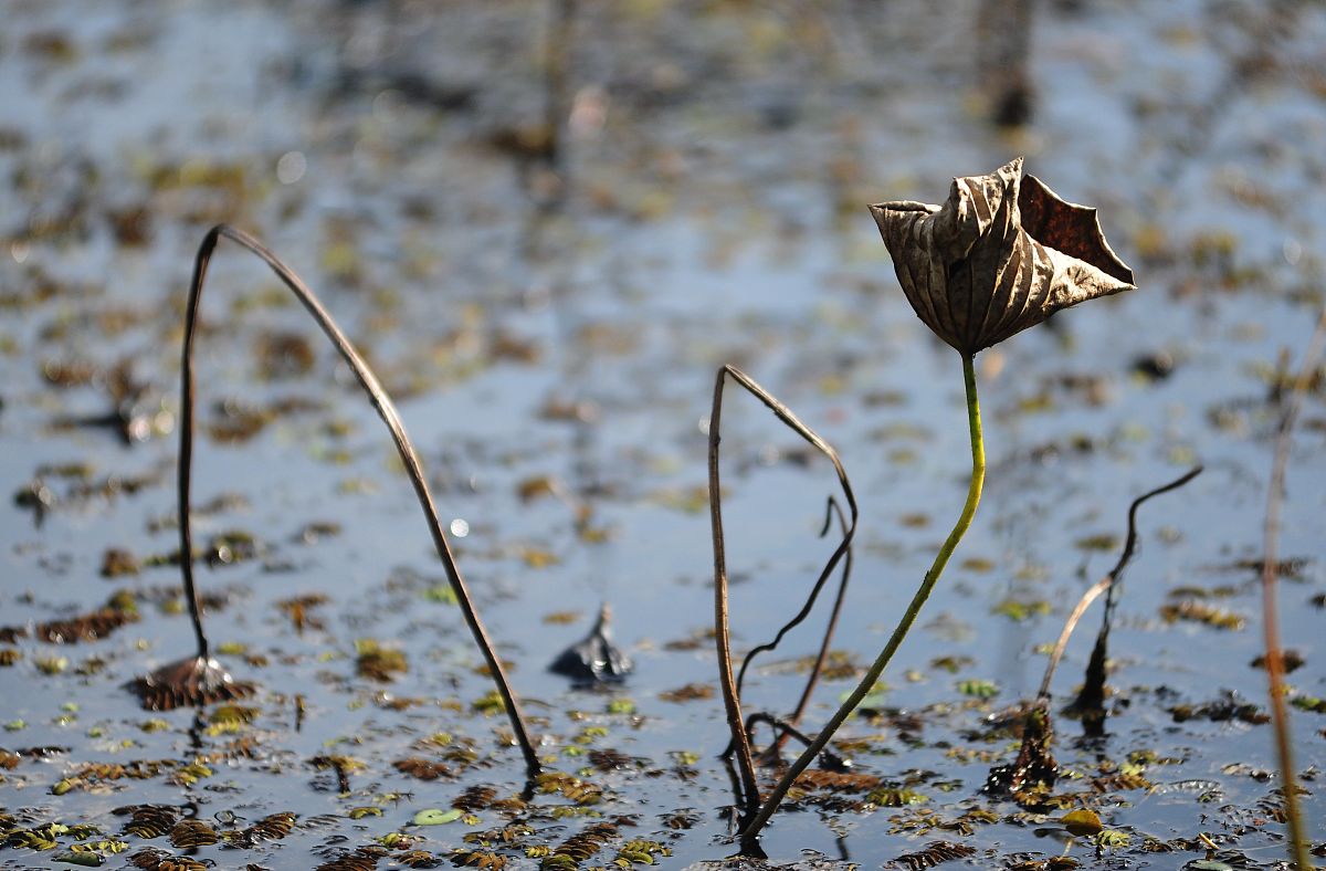 那一缕明媚的阳光:温暖心灵,照亮人生 那一缕明媚的阳光:温暖心灵,照亮人生