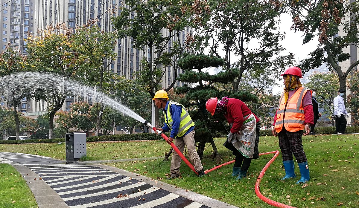 绿化养护每月进度目标 - 保持环境整洁与植物健康