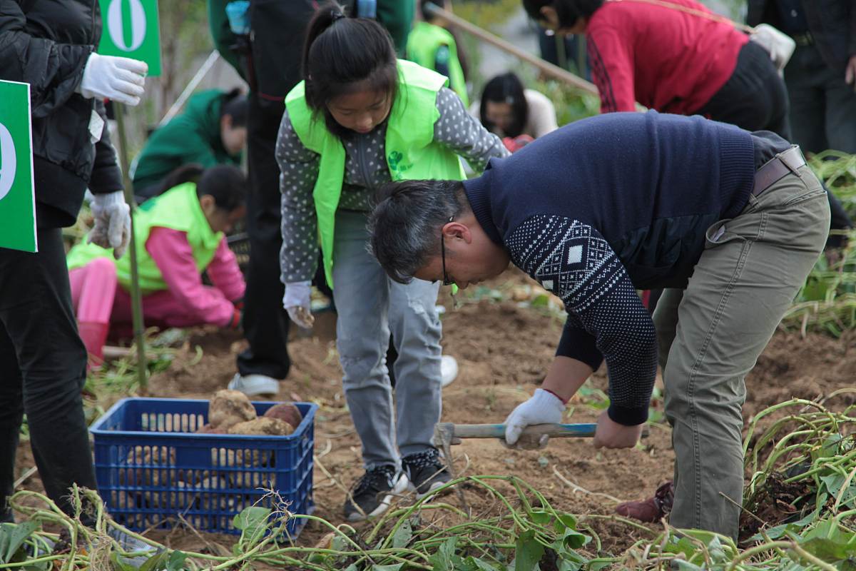 三下乡社会实践活动：大学生暑假支教助农服务农村
