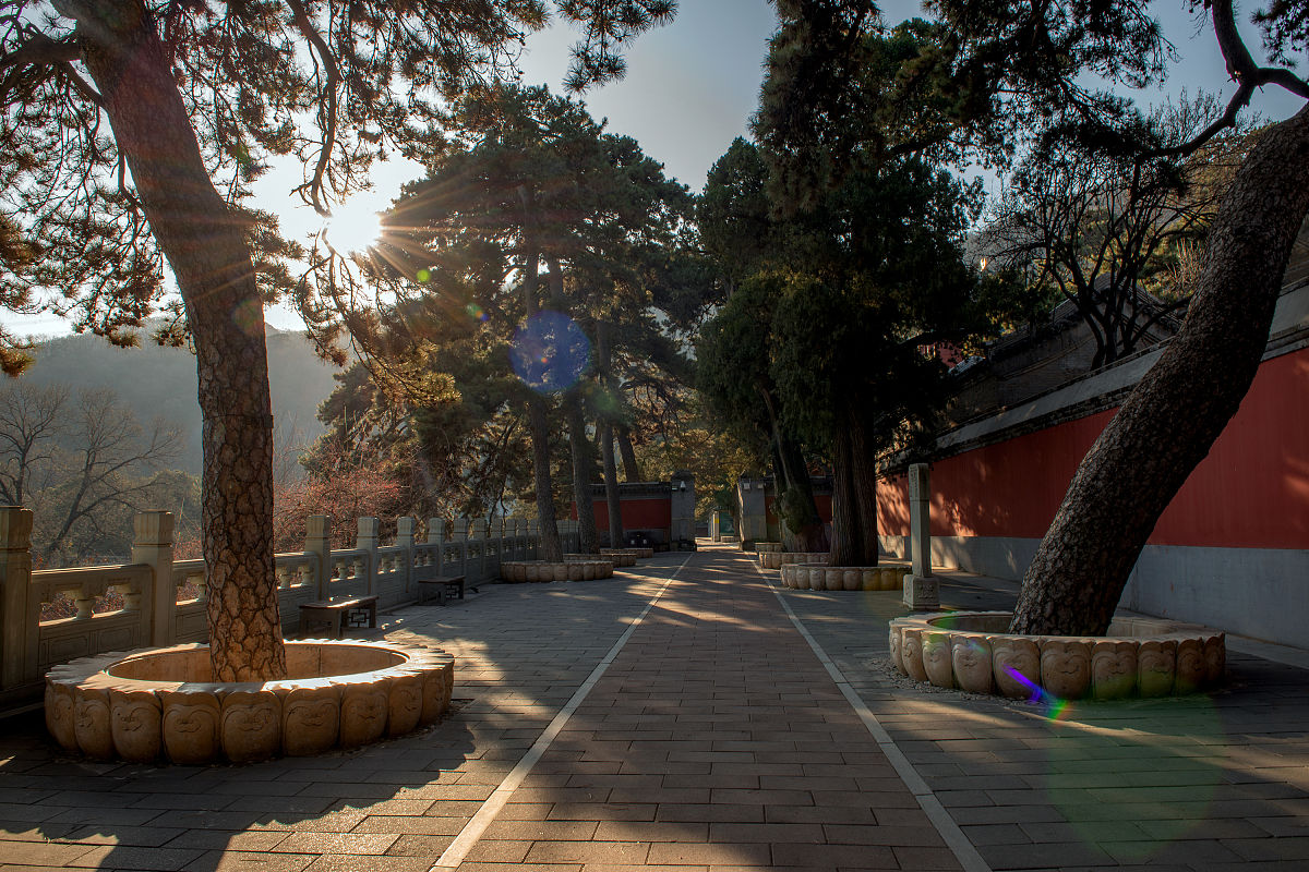 2019年12月7月,北京戒台寺,中国北方保存辽代文物最多,最完整的寺院.