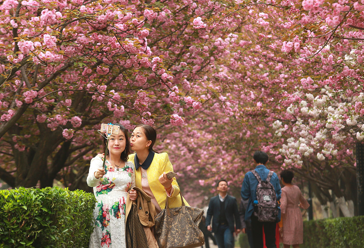 写一篇穿着汉服南太湖樱花节打卡文案
特点：长田漾樱花节赏花逛市集，寻找樱花女神赢好礼！花漾营地风筝节，自己动手DIY风筝，尽享风筝嘉年华！