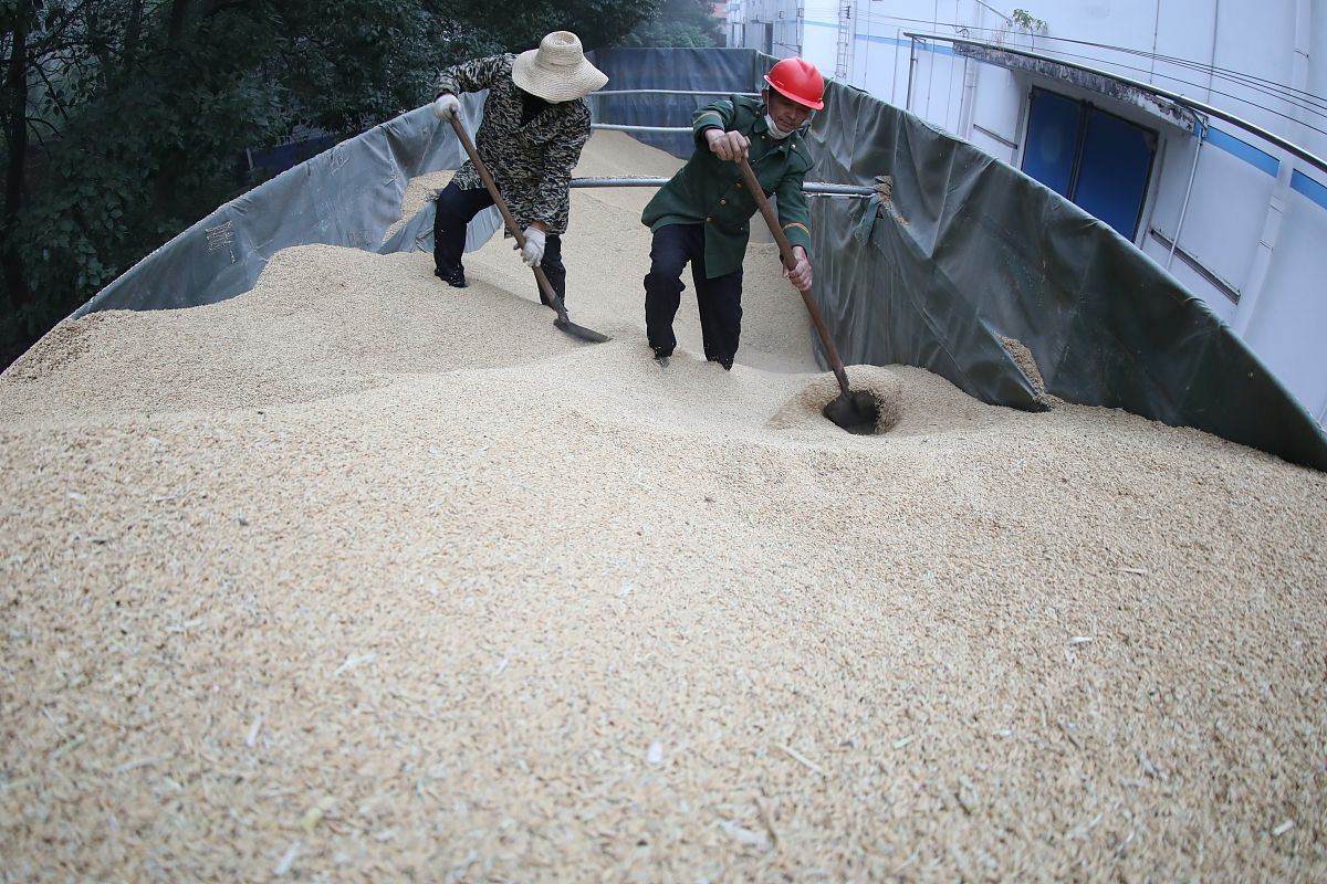 为什么粮库监测系统需要监测空气污染指数写出理由200字