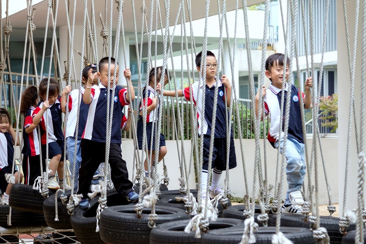 幼儿园主题活动探究之旅：创意实践与困境挑战