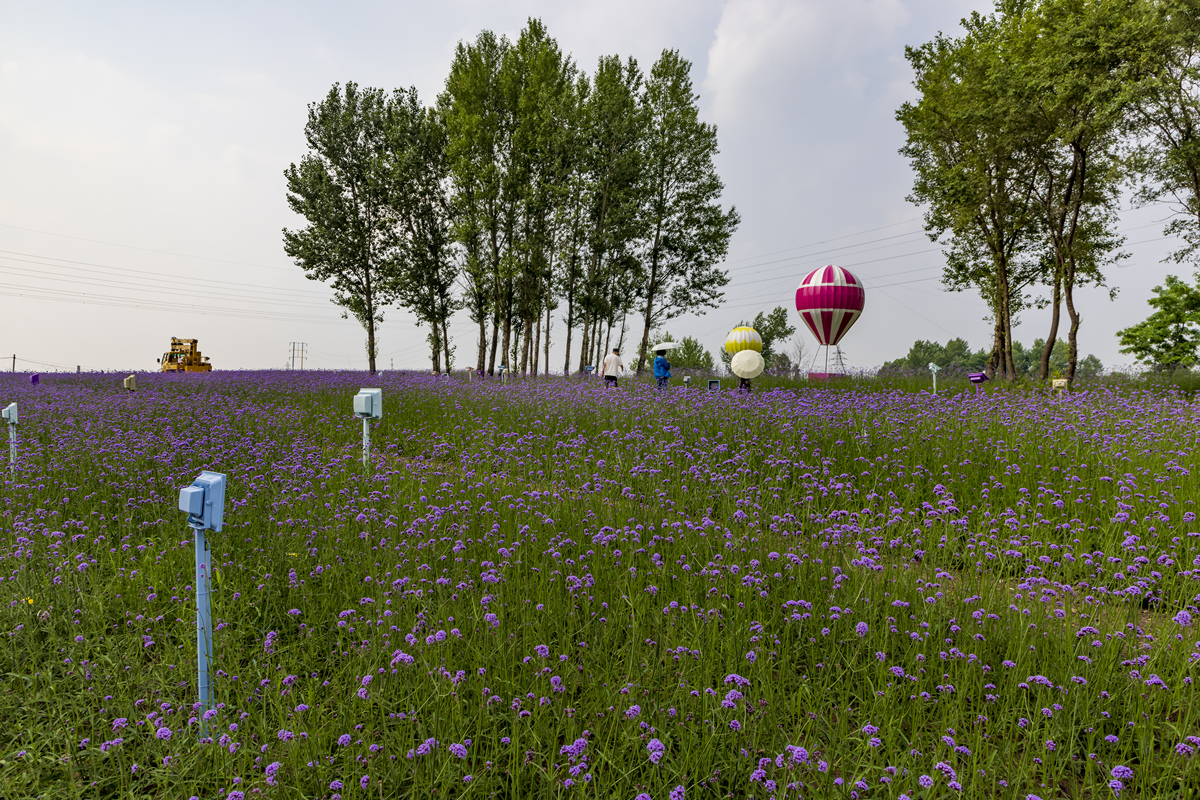 去满洲里蒙根花玩需要带什么详细解答并扩展补充