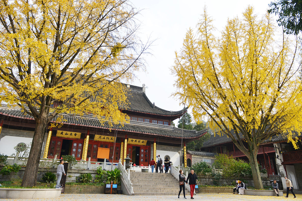2018年11月14日,初冬时节,南京市栖霞寺的两棵百年银杏披上"黄金甲",